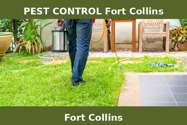 PEST CONTROL Fort Collins